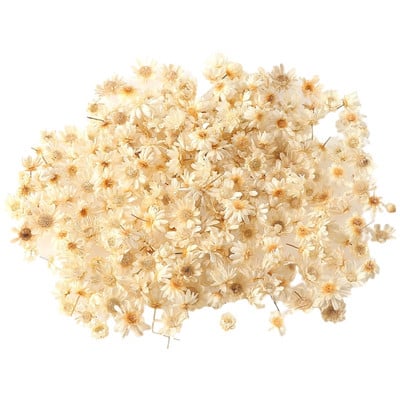 1 doboz szárított virágok UV gyanta dekoratív természetes száraz virág matricák 3D szépség matrica epoxi forma DIY kitöltés készítés kézműves