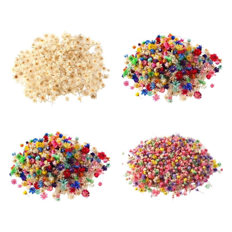 1 doboz szárított virágok UV gyanta dekoratív természetes száraz virág matricák 3D szépség matrica epoxi forma DIY kitöltés készítés kézműves