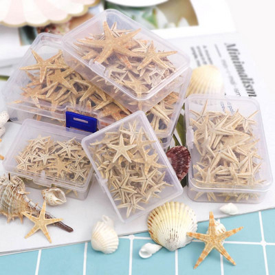 1 Κουτί Φυσικός Αστερίας Seashell Beach Craft Natural Sea Stars DIY Διακόσμηση Γάμου Παραλίας Εποξειδική Ρητίνη Χειροτεχνία 1-5cm