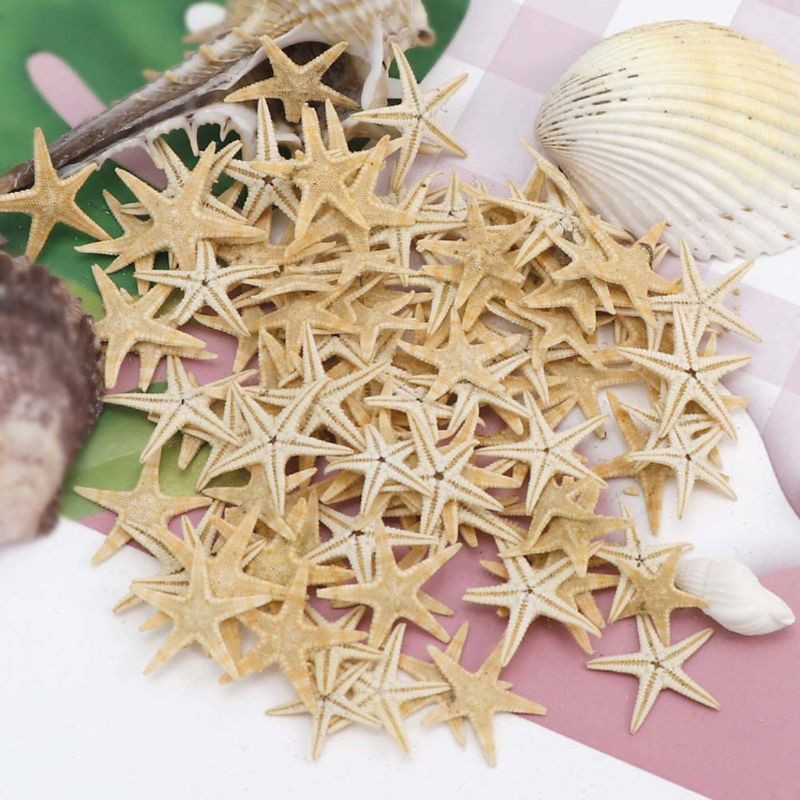 1 doboz natúr tengeri csillag tengeri kagyló Beach Craft természetes tengeri csillagok barkácsolás tengerpart esküvői dekoráció epoxigyanta kézműves 1-5 cm