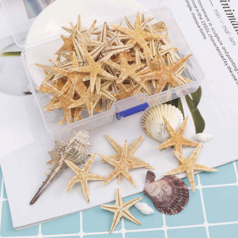 1 doboz natúr tengeri csillag tengeri kagyló Beach Craft természetes tengeri csillagok barkácsolás tengerpart esküvői dekoráció epoxigyanta kézműves 1-5 cm