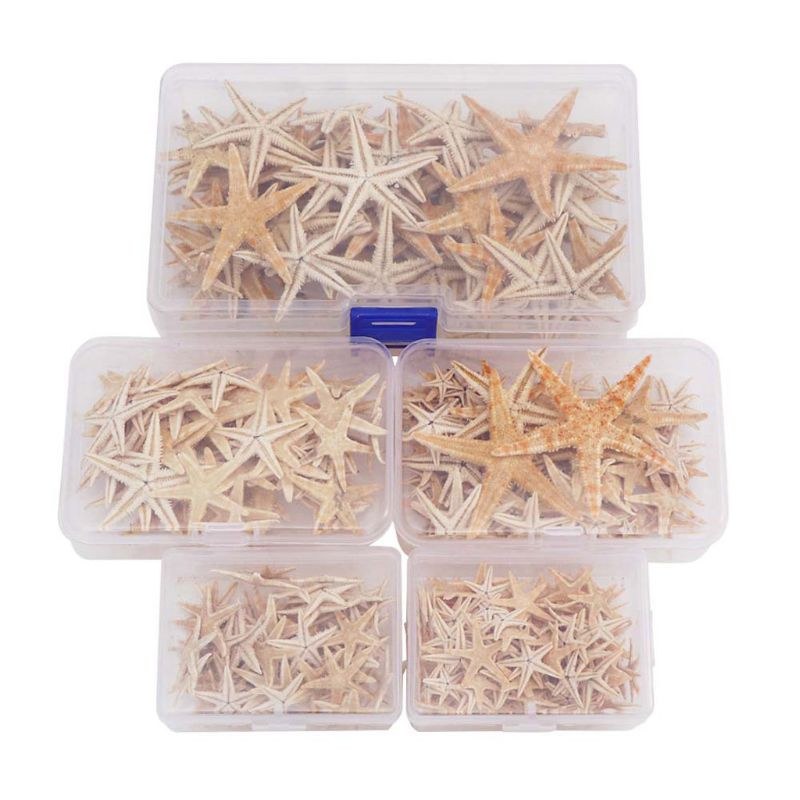 1 doboz natúr tengeri csillag tengeri kagyló Beach Craft természetes tengeri csillagok barkácsolás tengerpart esküvői dekoráció epoxigyanta kézműves 1-5 cm