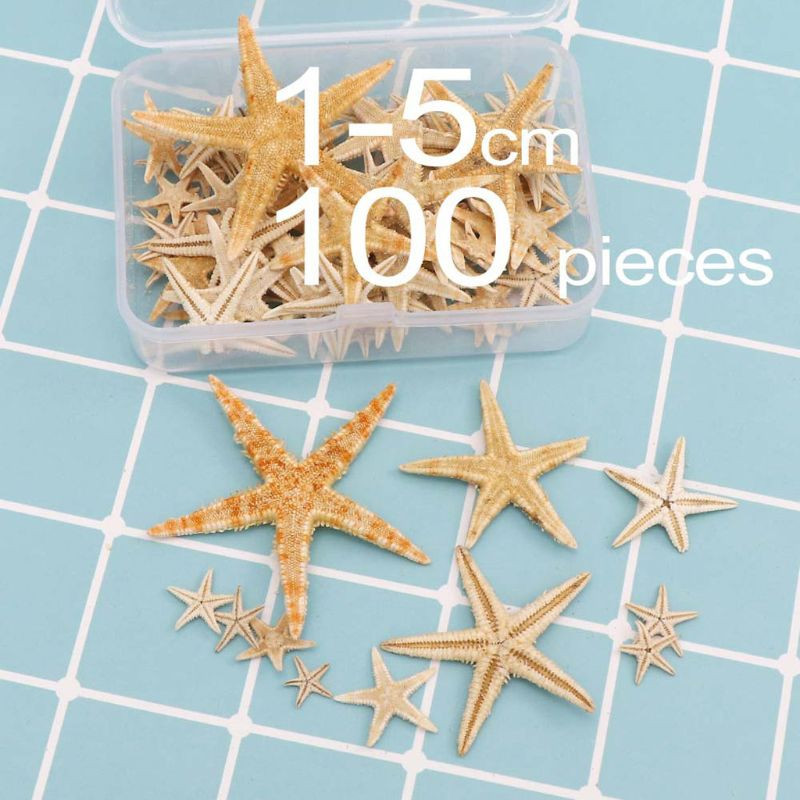 1 doboz natúr tengeri csillag tengeri kagyló Beach Craft természetes tengeri csillagok barkácsolás tengerpart esküvői dekoráció epoxigyanta kézműves 1-5 cm