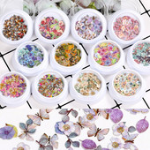 1 kaste Maza koka celulozes Ziedu skaidas Epoksīda sveķu veidņu pildījums UV sveķu pildījums Dekoratīvs papīrs Ziedu rotaslietas Nail Art Amatniecība DIY