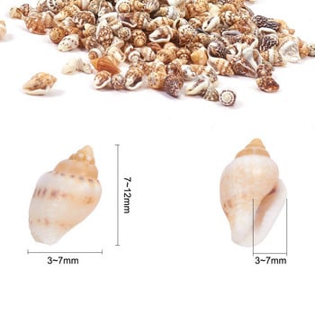 20 γραμμάρια Mix Natural Sea Shells Conch Summer Jewelry Craft Diy Marine Style Fish Tank Seashells Conch Beach Handmade Crafs Decor