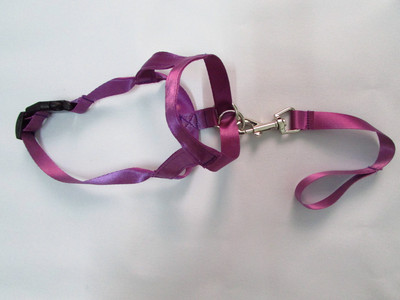 Uus nailonist koera koon Dogalter koera päitsed Halti treeningpea kaelarihm reguleeritav õrn juhtrakmed haukumisvastased