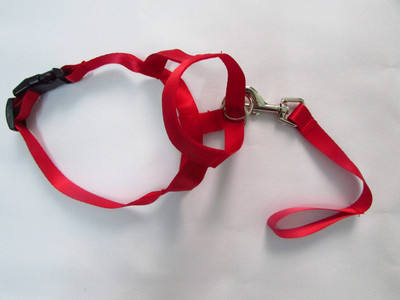 Uus nailonist koera koon Dogalter koera päitsed Halti treeningpea kaelarihm reguleeritav õrn juhtrakmed haukumisvastased