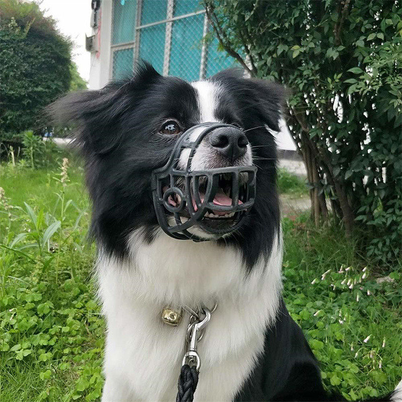 1 vnt. Reguliuojama kaukė žievės įkandimo tinkleliu burnos snukučio priežiūrai, anti-stop kramtomojo skaliko dresavimo priemonė nuo įkandimo E11444