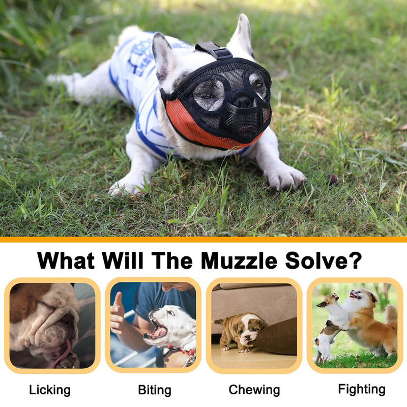 Prancūzų buldogo snukis trumpas snukis šuns snukis anglų buldogui tinklinis šuns snukis su išlenktu liežuviu, plokščio veido šuns snukis