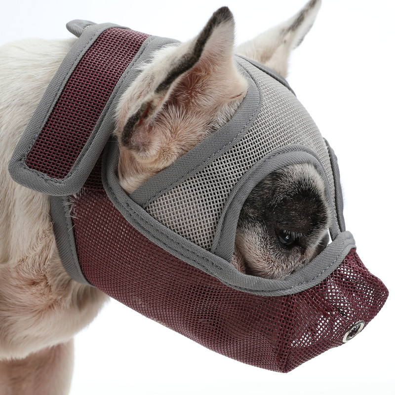 Kutya szájkosarai Állítható, lélegző kutyaszájvédő Ugatásgátló harapásgátló francia bulldog mopszhoz Nyakörv Kisállat ugatás megelőzése