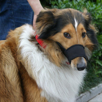 Ρυθμιζόμενο ρύγχος στο στόμα κατοικίδιων ζώων Ρύγχος σκύλου κατά του γαβγίσματος για μικρόσωμους μεγαλόσωμους σκύλους με νάιλον λουρί Αναπνεύσιμο ρύγχος σκύλου στο στόμα κατά του μασήματος