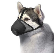 Διχτυωτό ρύγχος σκύλου με ιμάντα πάνω από το κεφάλι, ρύγχος προστασίας από μάσκα σκύλου χωρίς γλείψιμο για σκύλους που αποτρέπουν το δάγκωμα του μασήματος