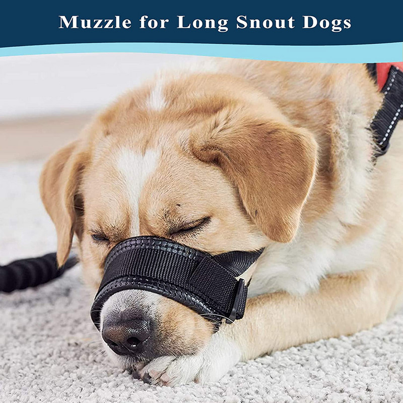 Šuns snukis Minkštas nailoninis antsnukis kramtymui, kvėpuojantis paminkštintas snukio kilpa vidutinio dydžio ir ypač dideliems agresyviems šunims