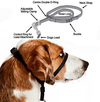 Nylon Dog Pet Dog με κολάρο κεφαλιού Απαλό λουρί με καπίστρι Leader Stop Pulling Εκπαίδευση ρύγχους Εργαλεία αξεσουάρ σκύλου
