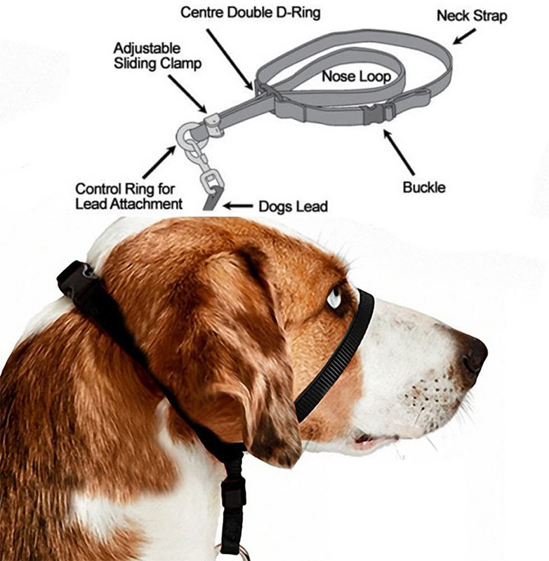 Nylon Dog Pet Dog με κολάρο κεφαλιού Απαλό λουρί με καπίστρι Leader Stop Pulling Εκπαίδευση ρύγχους Εργαλεία αξεσουάρ σκύλου