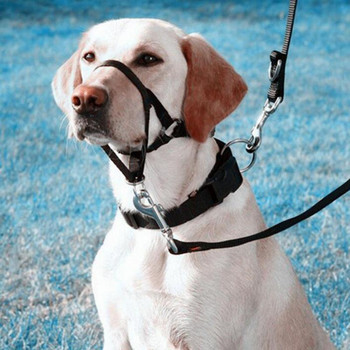 Nylon Dogs Head Collar Dog Training Halter Μπλε Κόκκινο Μαύρο Χρώματα SML XL XXL Μεγέθη