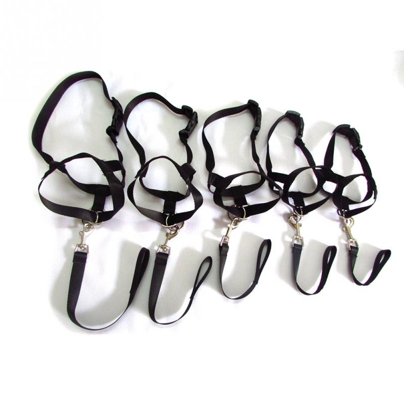 Nailono šunų galvos antkaklis šunų dresavimo apynasris Mėlyna Raudona Juoda Spalvos SML XL XXL Dydžiai