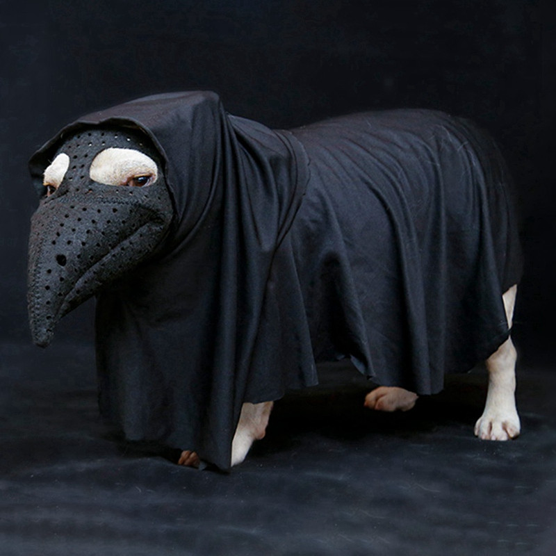 Boț pentru câine Groază pasăre Cioc gură mască câine silicon luminoasă stop latrat bot costum Halloween câine măști de siguranță anti-mușcătură