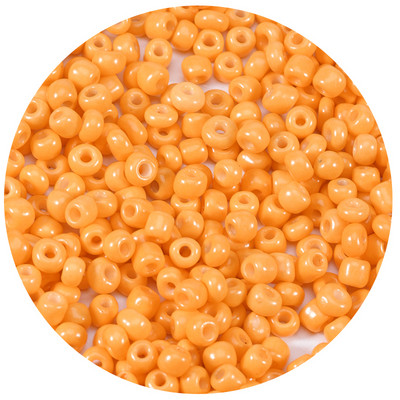 1000 vnt./stal. Miyuki Stikliniai karoliukai Maži 2,5 3 4mm Bling karoliukai Sėklų karoliukai Medžiaga karolių apyrankių papuošalų gamybai