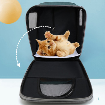 Τσάντα μεταφοράς γάτας Φορητό εξωτερικό σακίδιο πλάτης ταξιδιού για μικρές γάτες σκύλου που αναπνέουν ανθεκτικές στις γρατσουνιές Τσάντα μεταφοράς γάτας Προμήθειες για κατοικίδια