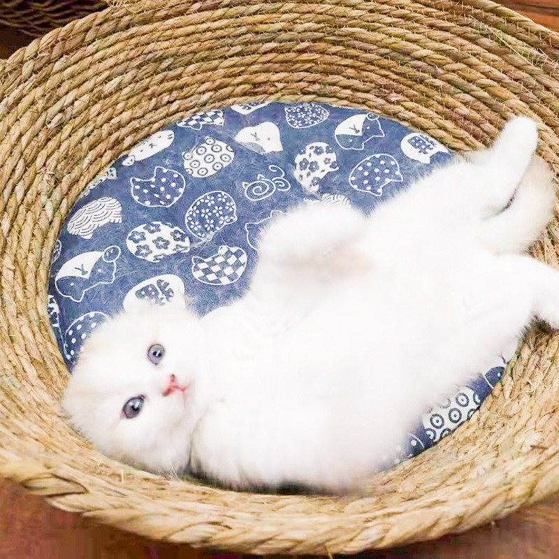 Rattan Cat Nest Bed Nyári Pussy Mat Cat Scratch Board Pet Mat Pet Supplies Plus Pamut betét minden évszakban használható