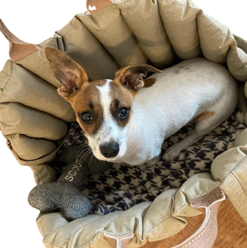 Hordozható kisállat-kutya autós hordozók Seat Box Booster kennel táska kis kutya macska utazáshoz Tote Siege De Voiture Pour Chien
