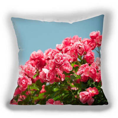 Jastučnica sa jarko crvenim cvijetom Kućni modni ukras Jastučnica za jastučiće Super meka kratka plišana jastučnica Fundas de colchón