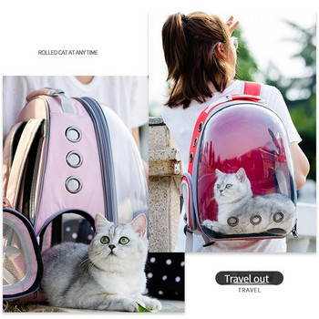 Τσάντα γάτας Αναπνεύσιμη φορητή τσάντα γάτας Ταξίδι φορητό σακίδιο μεταφοράς γάτας Σακίδιο πλάτης ταξιδιού και διαφανές σακίδιο πλάτης για κατοικίδια σκύλου
