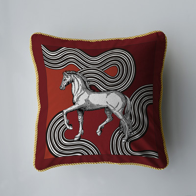 Baršunasta tkanina, originalni američki dvostrani stil tiska, kućna sofa, jastučnica, jastučnica bez jezgre, dnevna soba, spavaća soba 45 cm