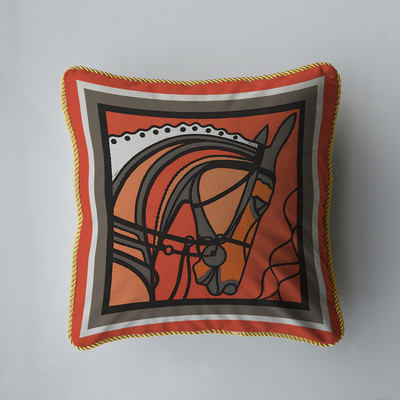 Baršunasta tkanina, originalni američki dvostrani stil tiska, kućna sofa, jastučnica, jastučnica bez jezgre, dnevna soba, spavaća soba 45 cm