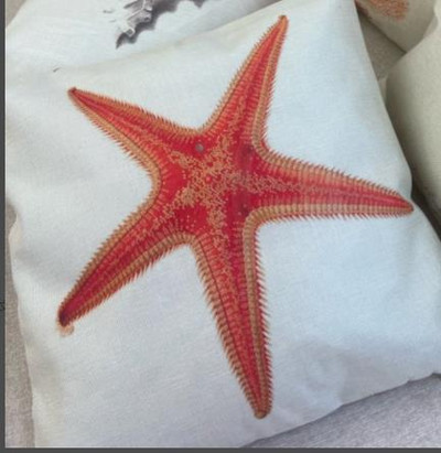 Padjapüür merevetikad meritäht linane padi kalapadi vöökoht, kodu dekoratiivne diivan