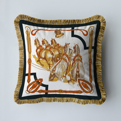 Baršunasta tkanina Američki luksuzni dvostrani ispis s kićankama Kućni kauč Jastučnica Jastučnica bez jezgre Dnevni boravak Spavaća soba 45 cm