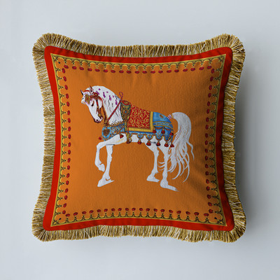 Baršunasta tkanina Američki luksuzni dvostrani ispis s kićankama Kućni kauč Jastučnica Jastučnica bez jezgre Dnevni boravak Spavaća soba 45 cm