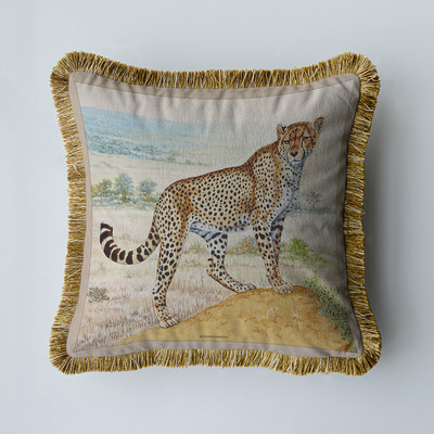 Baršunasta tkanina Američki luksuzni dvostrani ispis s kićankama Kućni kauč Jastučnica Jastučnica bez jezgre Dnevni boravak Spavaća soba 45 cm