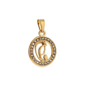 5 komada pozlaćenih kristalno popločanih nehrđajućih čelika Marina Djevice Marije Guadalupe šarm privjesci za DIY izradu ženskih ogrlica