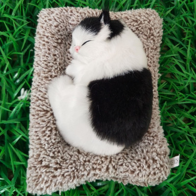 Στολίδια αυτοκινήτου Χαριτωμένα Προσομοίωση Γάτες ύπνου Σκύλοι Διακόσμηση Αυτοκίνητα Υπέροχα βελούδινα γατάκια κούκλα Παιδικά δώρα Αξεσουάρ