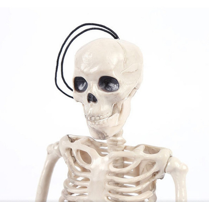 40cm kostur ukrasi auto privjesak igračke za noć vještica model ljudskog kostura kostur auto ukras za dom