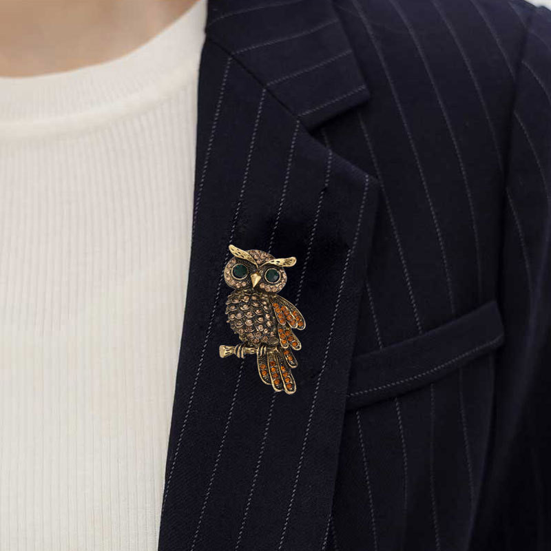 Ace Broșă Bufniță Vintage Corsaj Clip eșarfă Cristal Papagali Broșe Broșe pentru rever Broșe Bijuterii Femei Pulover Pălării Catarame