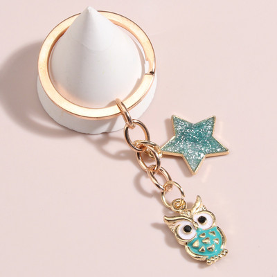 Slatki emajlirani privjesak za ključeve Šarena sova Pentagram privjesak za ključeve Životinjski privjesci za ključeve Za žene Muškarci Dodaci za torbice DIY Nakit Pokloni