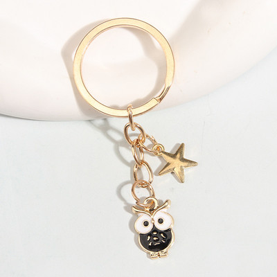 Slatki emajlirani privjesak za ključeve Šarena sova Pentagram privjesak za ključeve Životinjski privjesci za ključeve Za žene Muškarci Dodaci za torbice DIY Nakit Pokloni