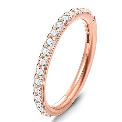 G23 titaanist hingedega segmendi rõngas CZ kivist ninarõngas nippel klõpsatav kõrva kõhr Tragus Helix huulekõrvarõnga augustamine keha ehted