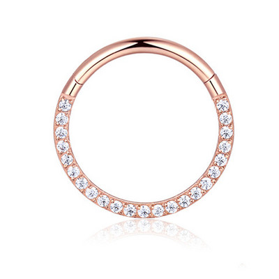 G23 titaanist hingedega segmendi rõngas CZ kivist ninarõngas nippel klõpsatav kõrva kõhr Tragus Helix huulekõrvarõnga augustamine keha ehted