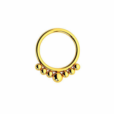 1 buc Inel pentru nas din oțel chirurgical Piercing pentru sept segment cu balamale Cercei pentru cartilajul urechii cu cerc Helix Bijuterii pentru corp de culoare argintie