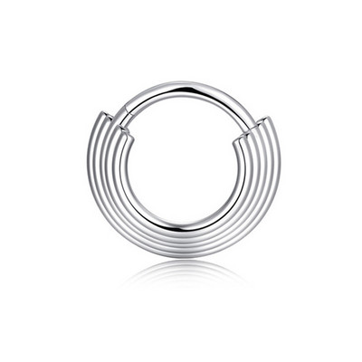 1 buc Inel pentru nas din oțel chirurgical Piercing pentru sept segment cu balamale Cercei pentru cartilajul urechii cu cerc Helix Bijuterii pentru corp de culoare argintie