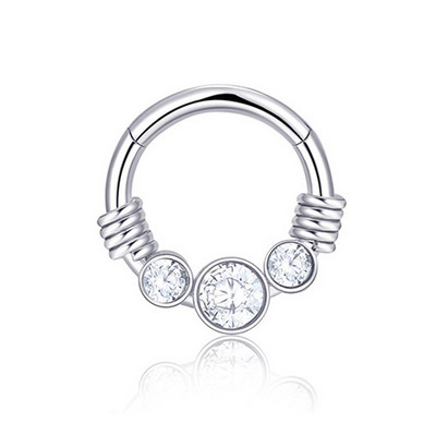 1 buc Inel pentru nas din oțel chirurgical Piercing pentru sept segment cu balamale Cercei pentru cartilajul urechii cu cerc Helix Bijuterii pentru corp de culoare argintie