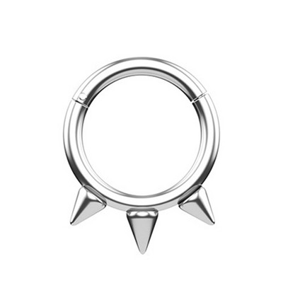 1 buc Inel pentru nas din oțel chirurgical Piercing pentru sept segment cu balamale Cercei pentru cartilajul urechii cu cerc Helix Bijuterii pentru corp de culoare argintie