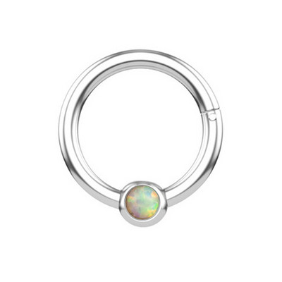 1 buc Inel pentru nas din oțel chirurgical Piercing pentru sept segment cu balamale Cercei pentru cartilajul urechii cu cerc Helix Bijuterii pentru corp de culoare argintie