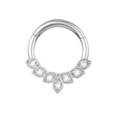 1 buc Inel pentru nas din oțel chirurgical Piercing pentru sept segment cu balamale Cercei pentru cartilajul urechii cu cerc Helix Bijuterii pentru corp de culoare argintie