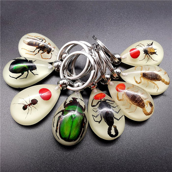 Моден ключодържател от кехлибарена смола Истинско насекомо Скорпион Мравки Светлопрозрачен ключодържател Подарък на едро