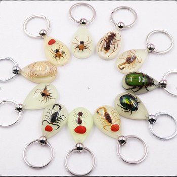 Моден ключодържател от кехлибарена смола Истинско насекомо Скорпион Мравки Светлопрозрачен ключодържател Подарък на едро